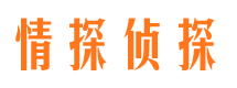 巢湖调查事务所